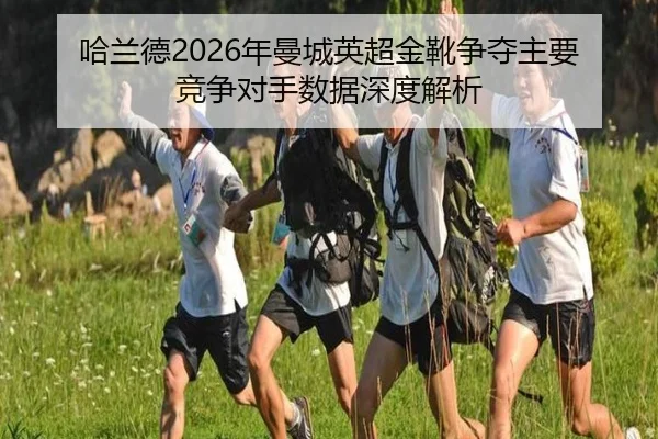 ha-lan-de-nian-man-cheng-ying-chao-jin-xue-zheng-duo-zhu-yao-jing-zheng-dui-shou-shu-ju-shen-du-jie-xi-2-551.jpg