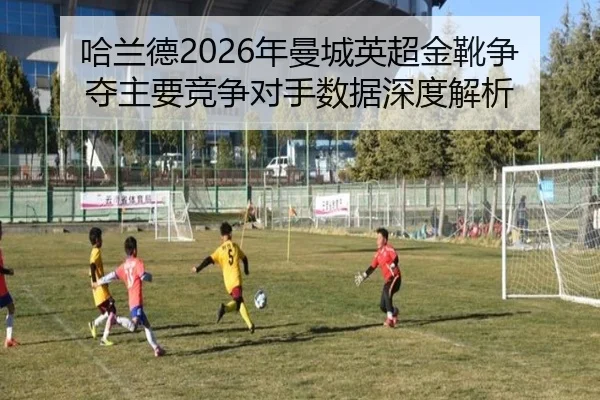 哈兰德2026年曼城英超金靴争夺主要竞争对手数据深度解析